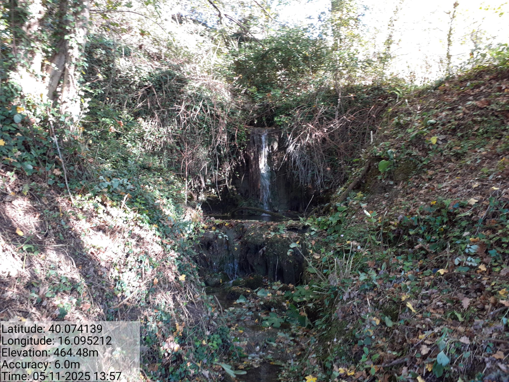 Galleria Fotografica Immagine