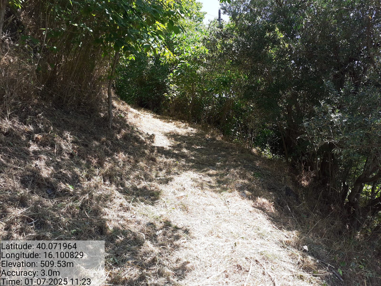 Galleria Fotografica Immagine