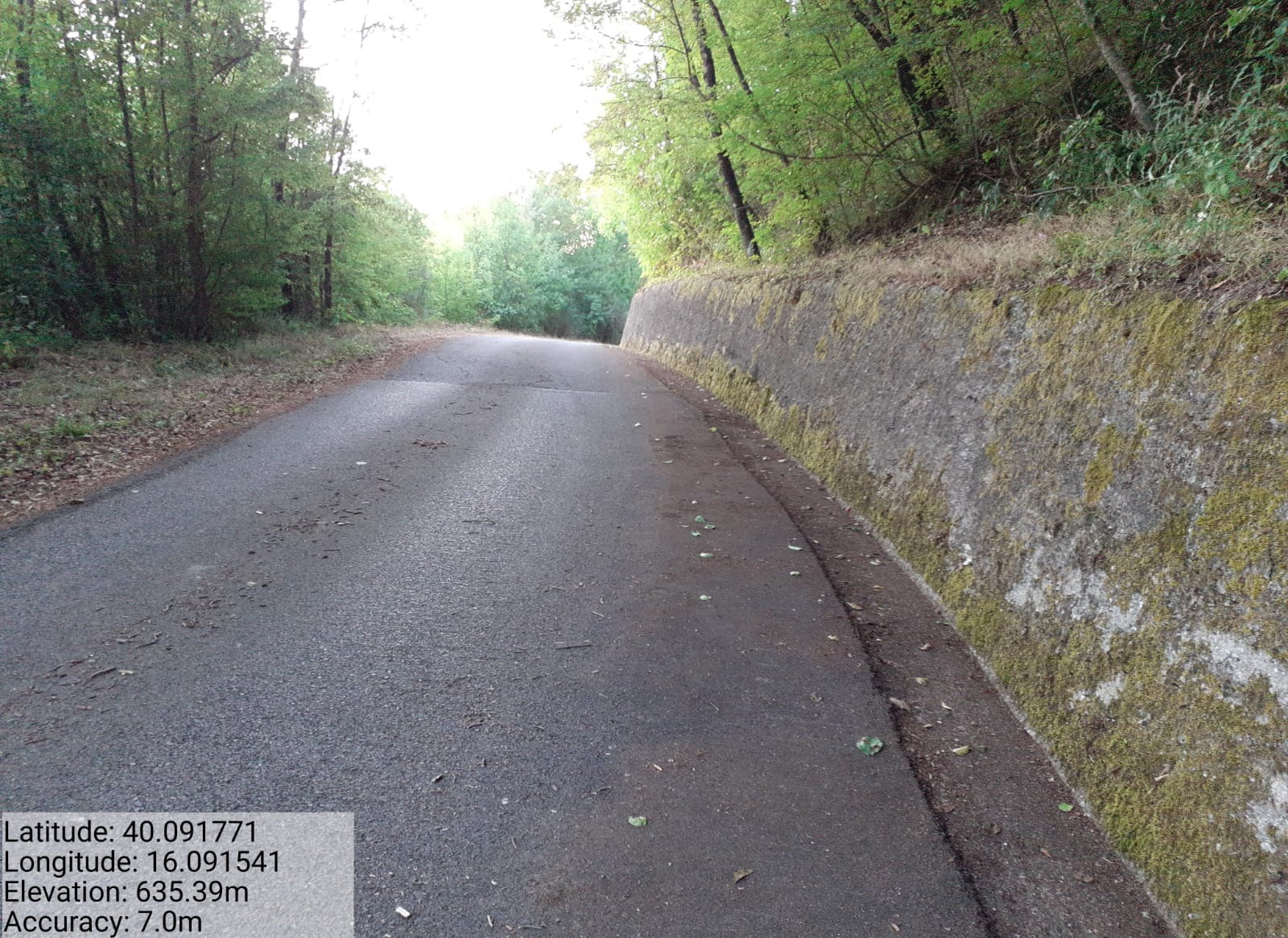 Galleria Fotografica Immagine