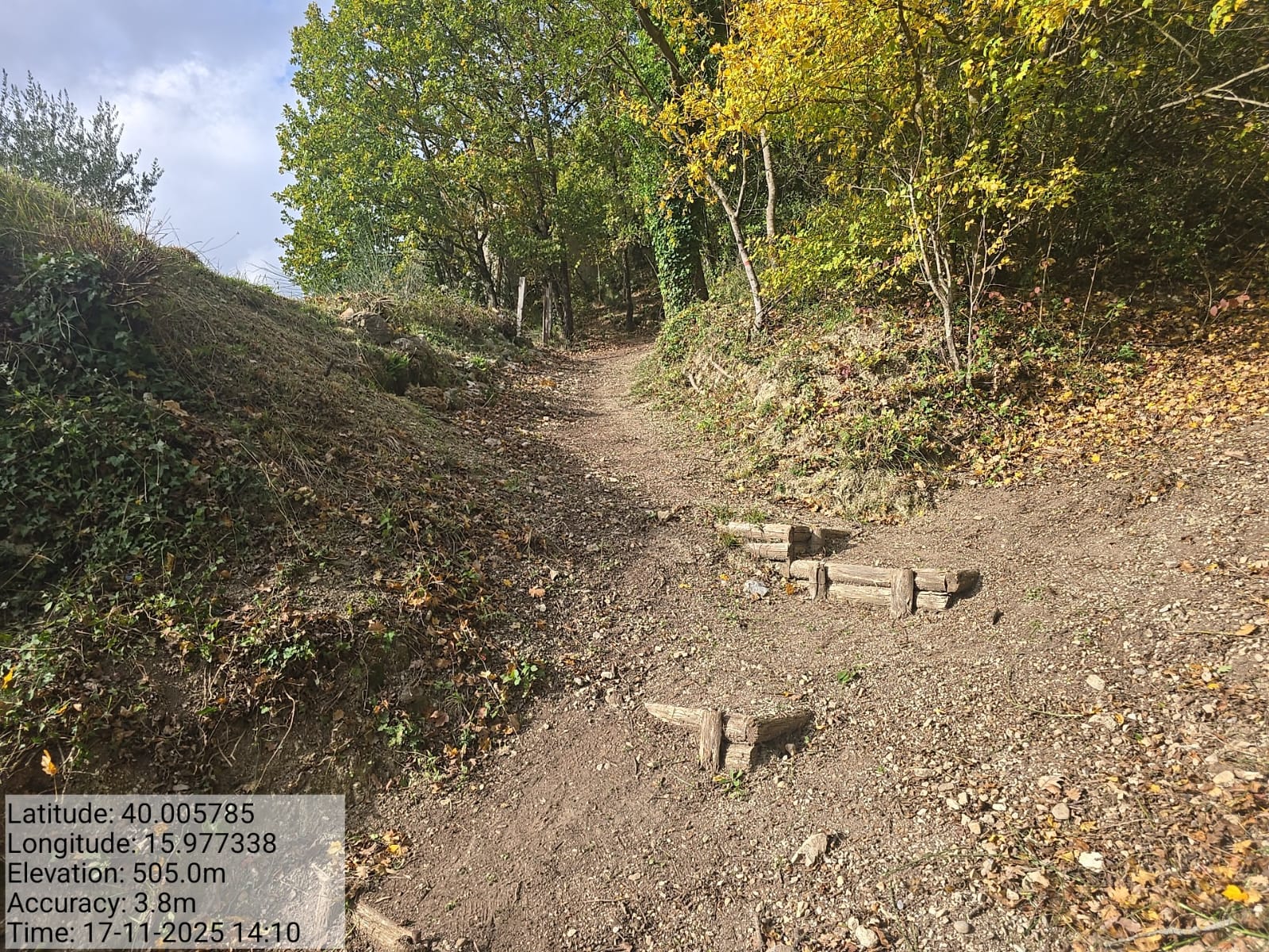 Galleria Fotografica Immagine