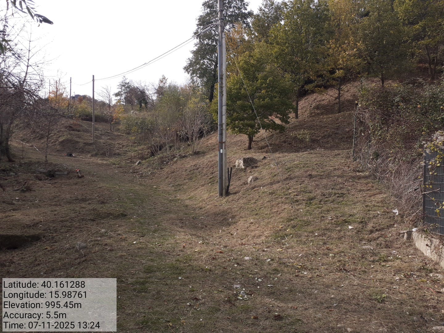 Galleria Fotografica Immagine