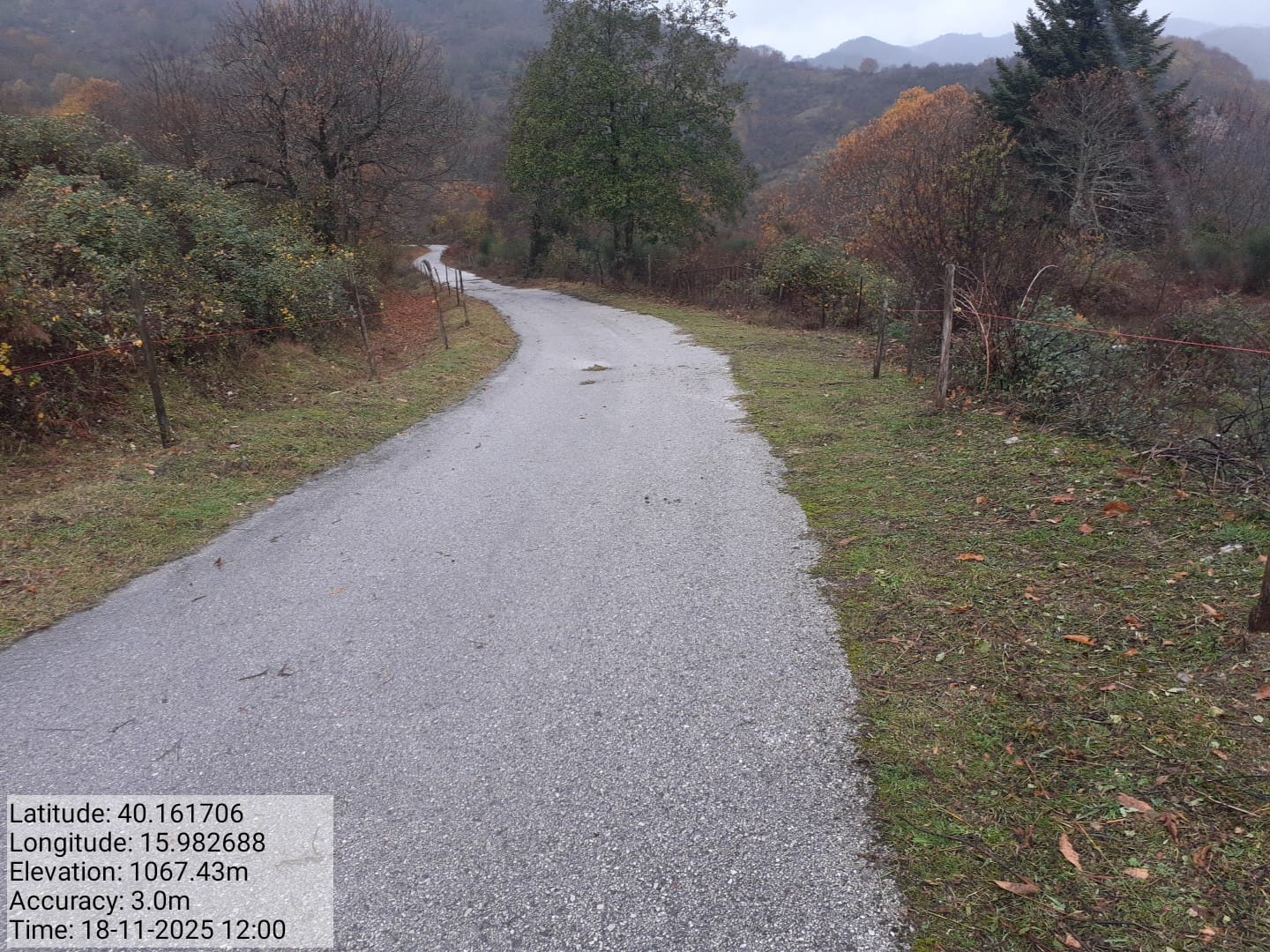 Galleria Fotografica Immagine