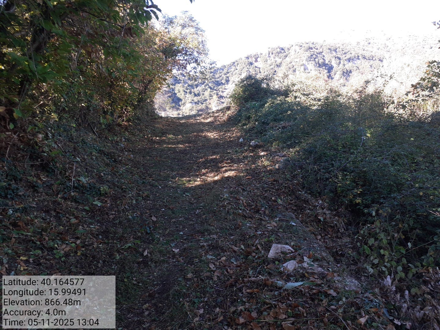 Galleria Fotografica Immagine