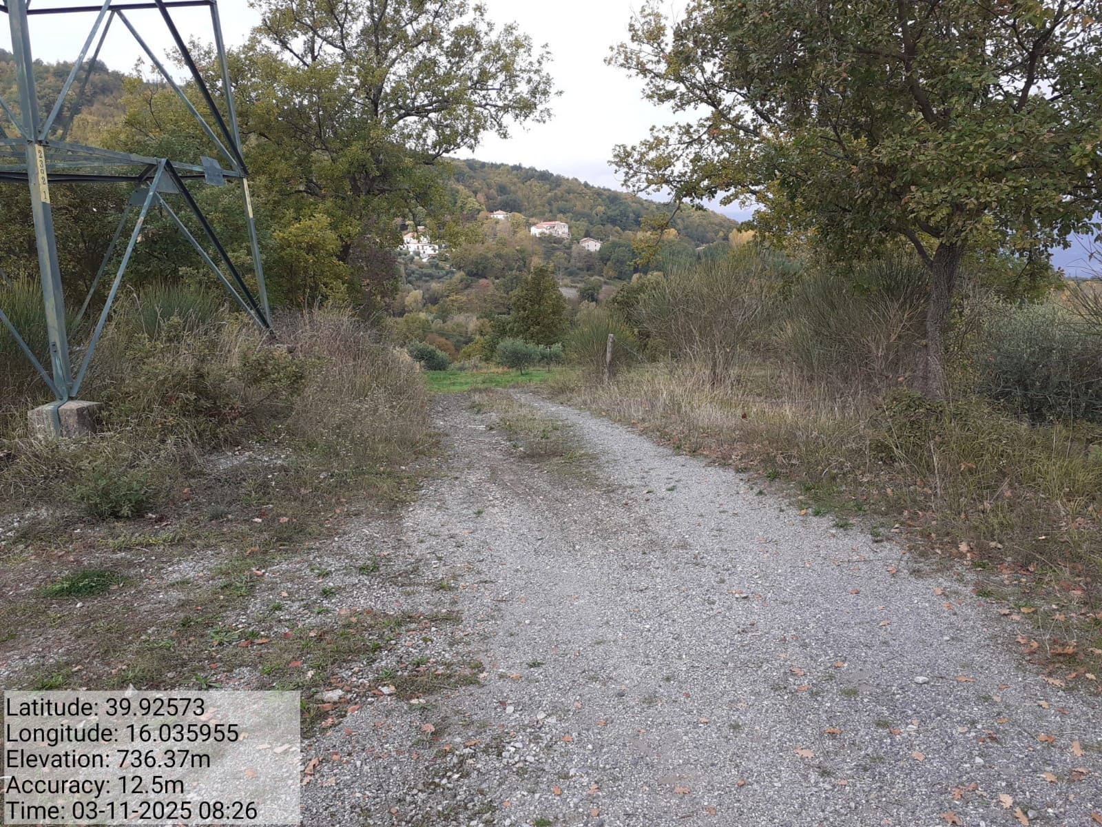 Galleria Fotografica Immagine