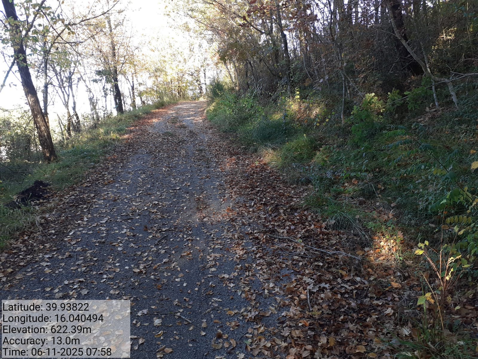 Galleria Fotografica Immagine