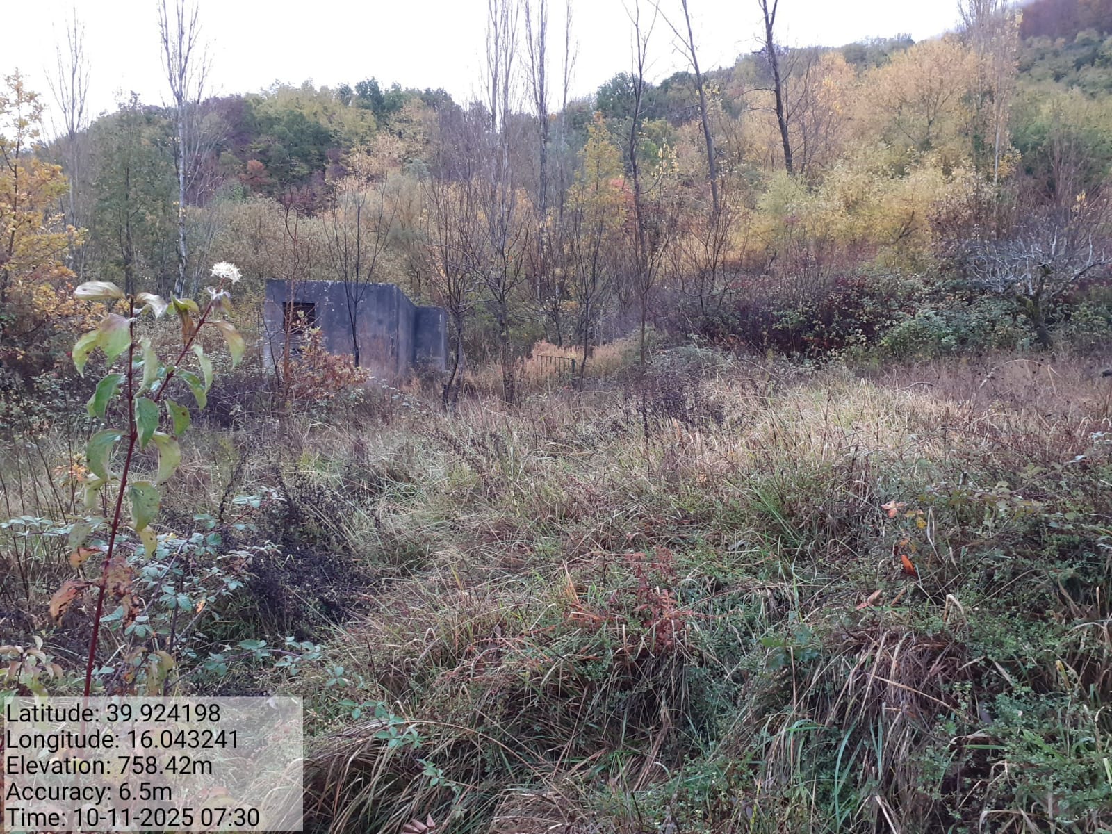 Galleria Fotografica Immagine