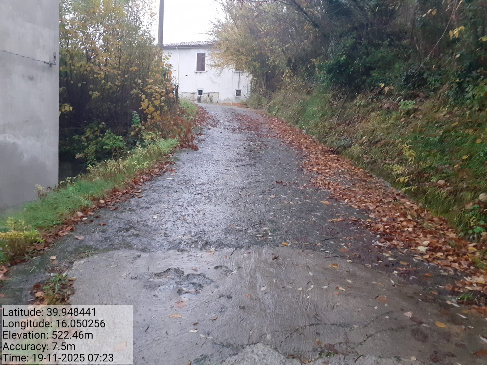 Galleria Fotografica Immagine