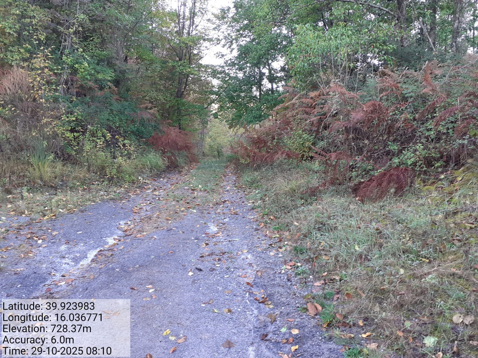 Galleria Fotografica Immagine