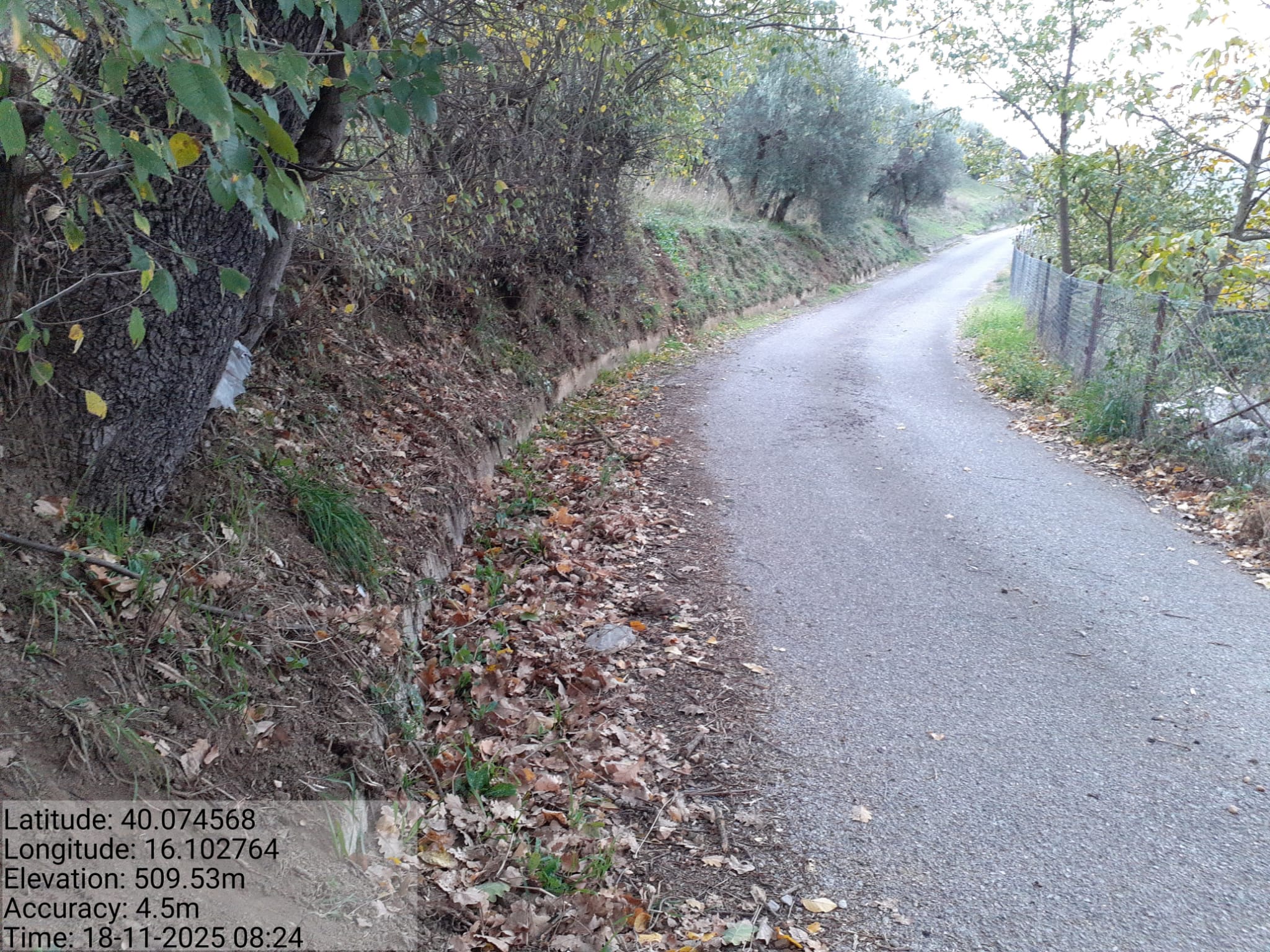 Galleria Fotografica Immagine