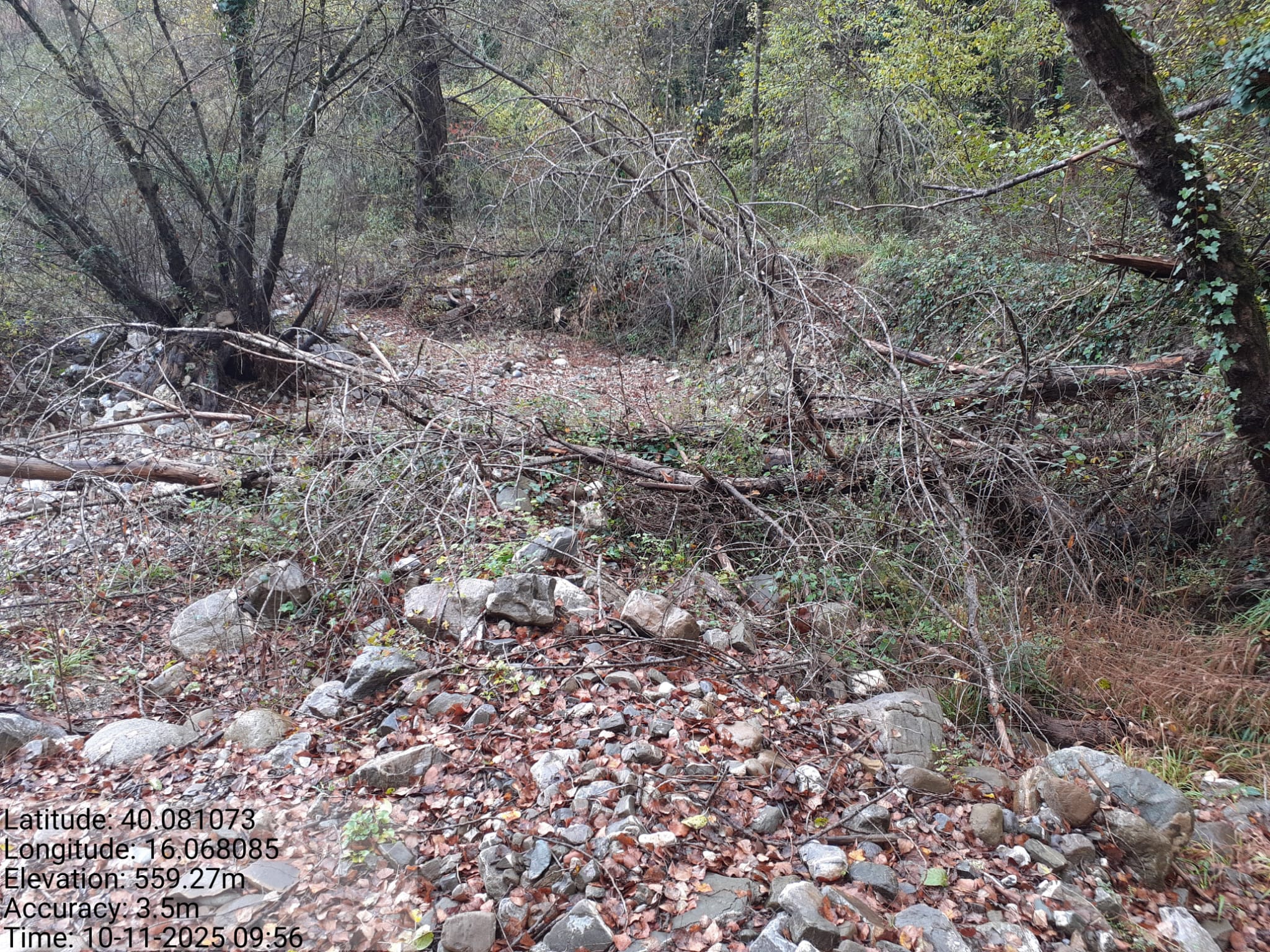 Galleria Fotografica Immagine