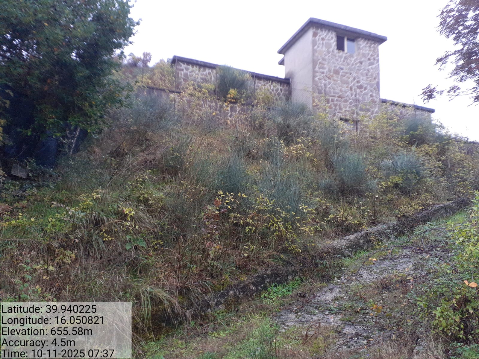 Galleria Fotografica Immagine