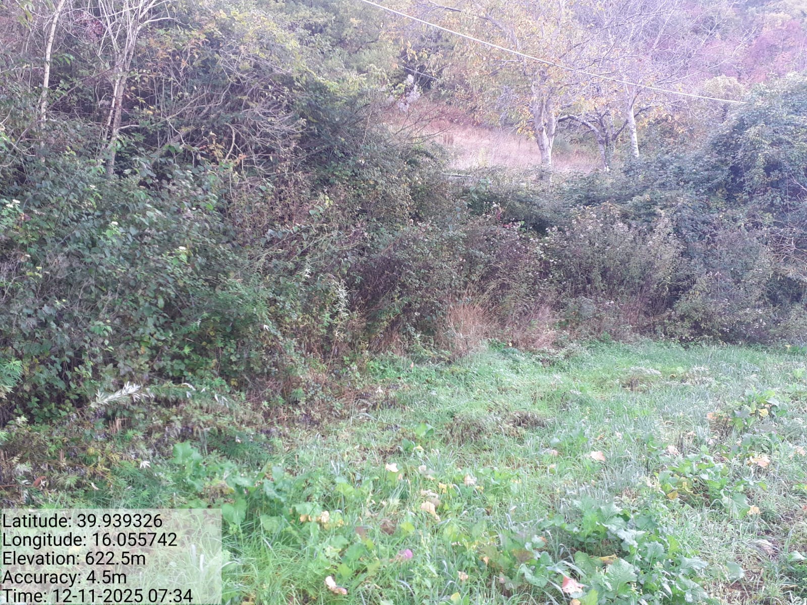 Galleria Fotografica Immagine