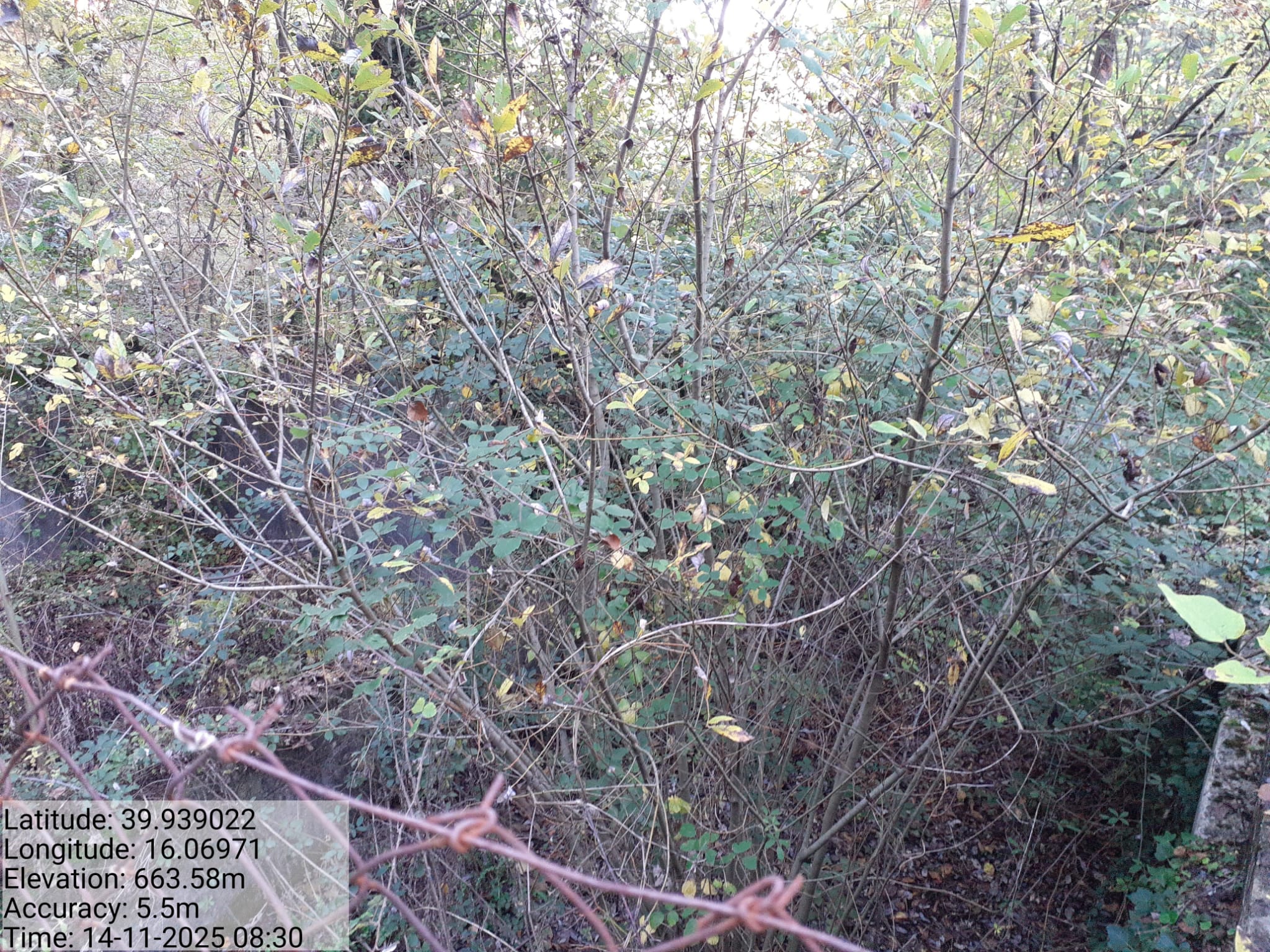 Galleria Fotografica Immagine