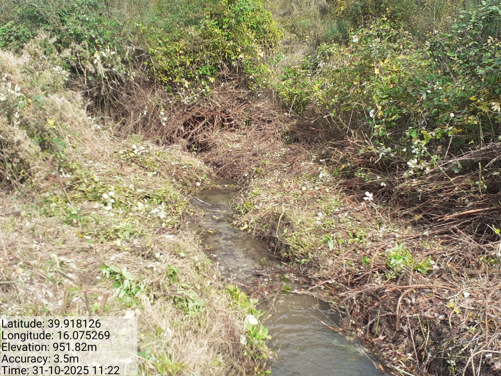 Galleria Fotografica Immagine