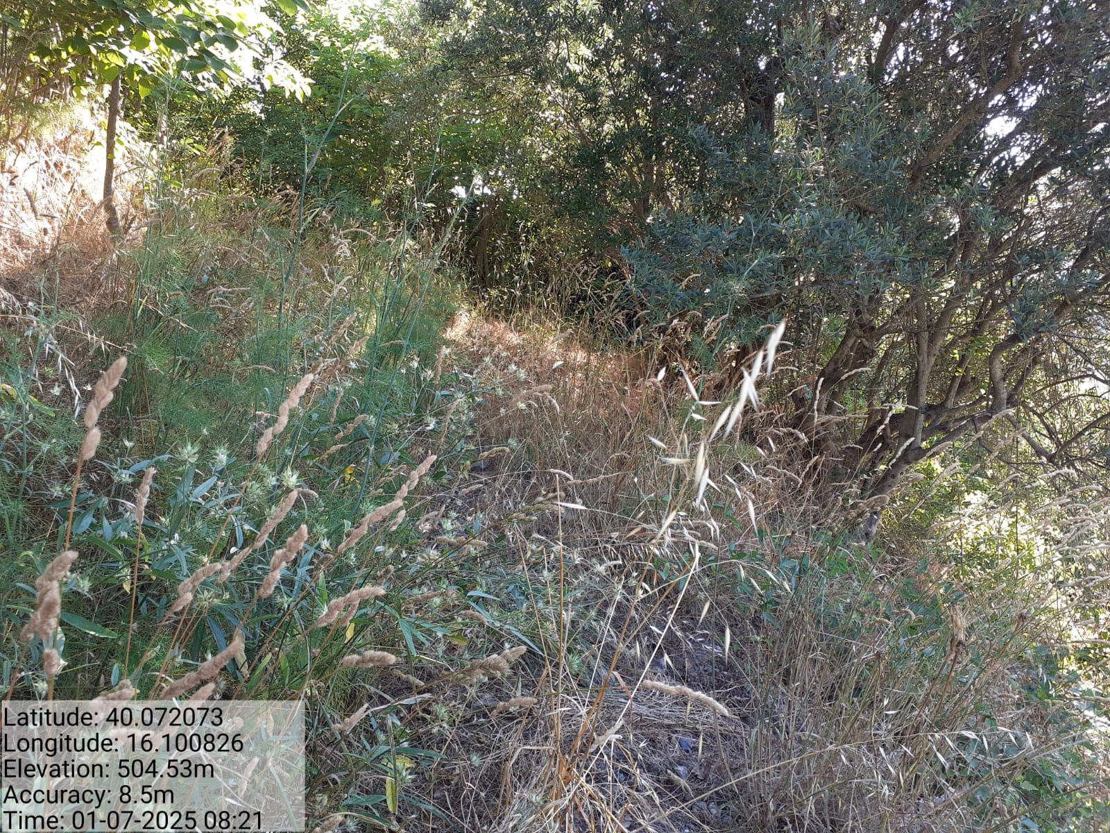 Galleria Fotografica Immagine