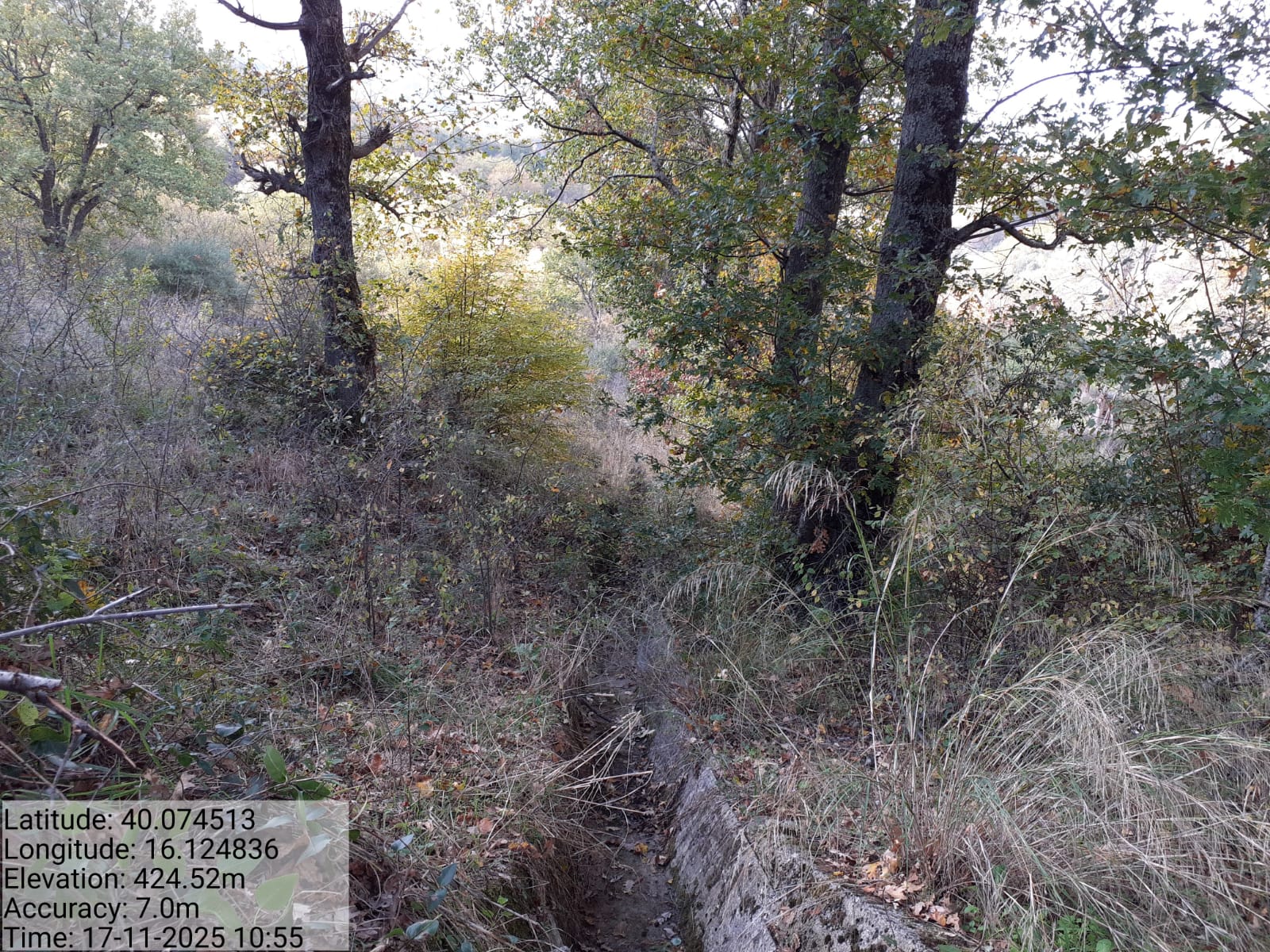 Galleria Fotografica Immagine