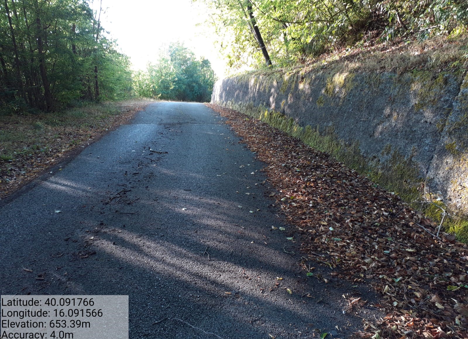 Galleria Fotografica Immagine