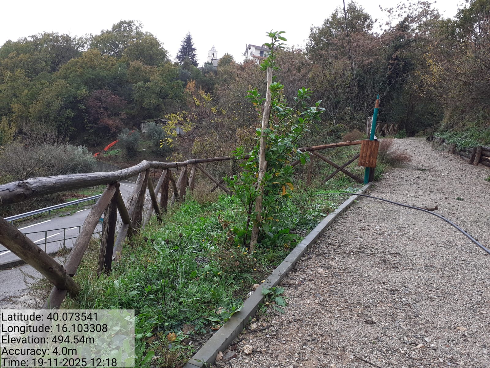 Galleria Fotografica Immagine