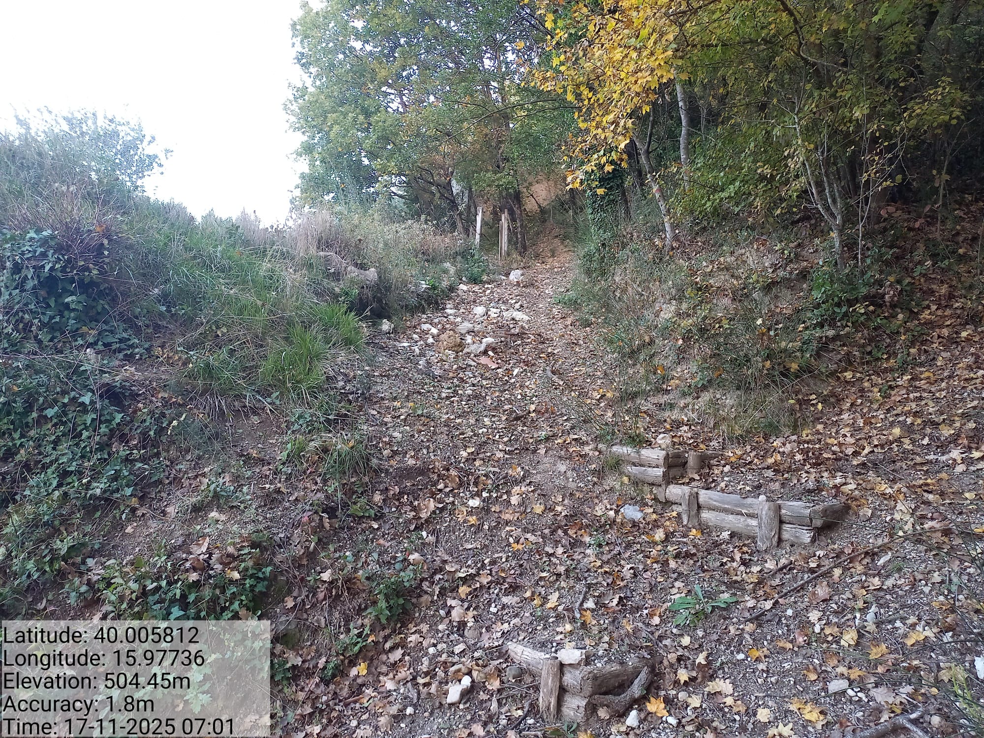 Galleria Fotografica Immagine