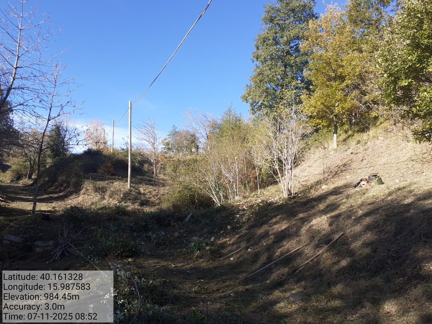 Galleria Fotografica Immagine