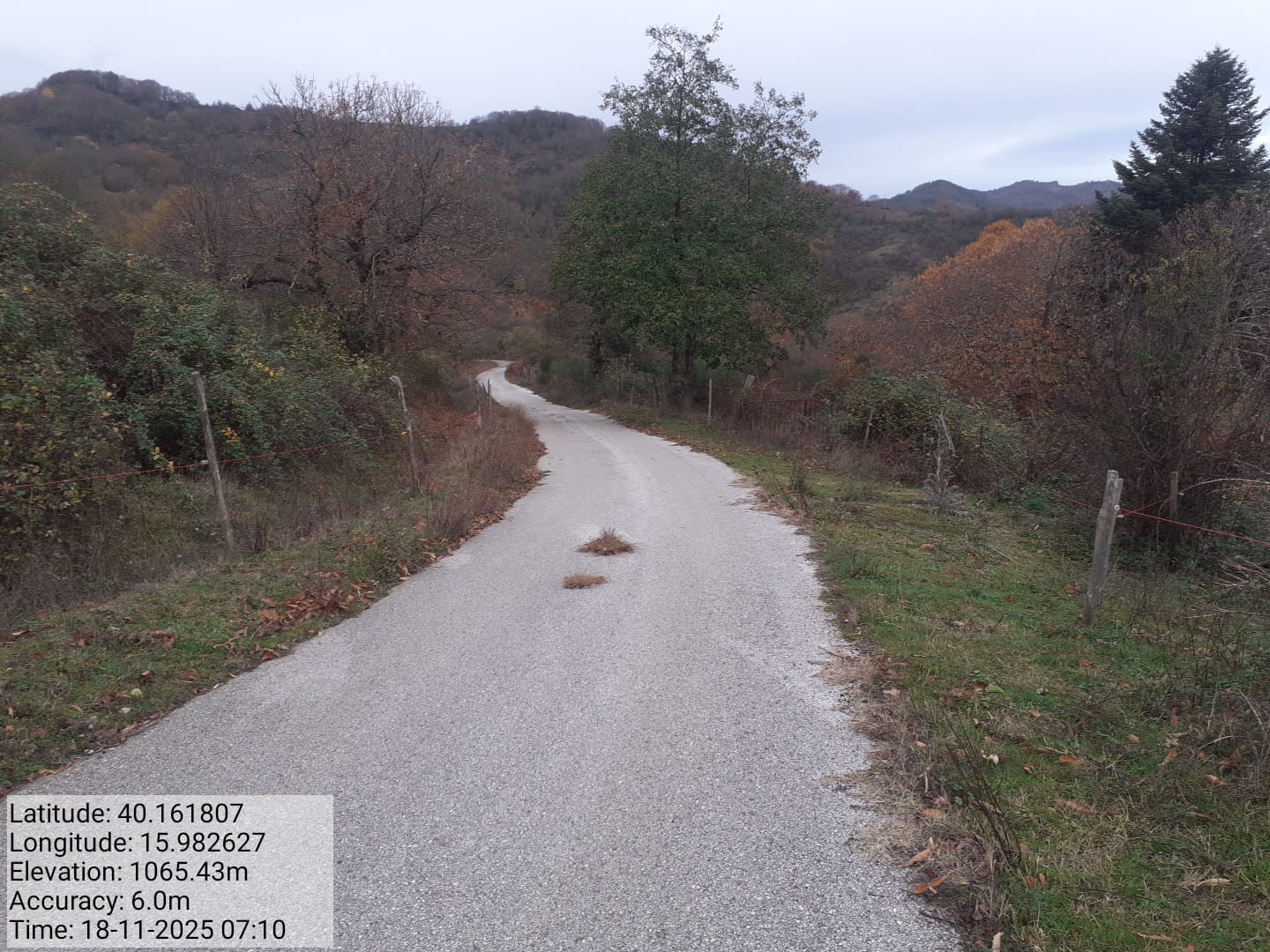 Galleria Fotografica Immagine