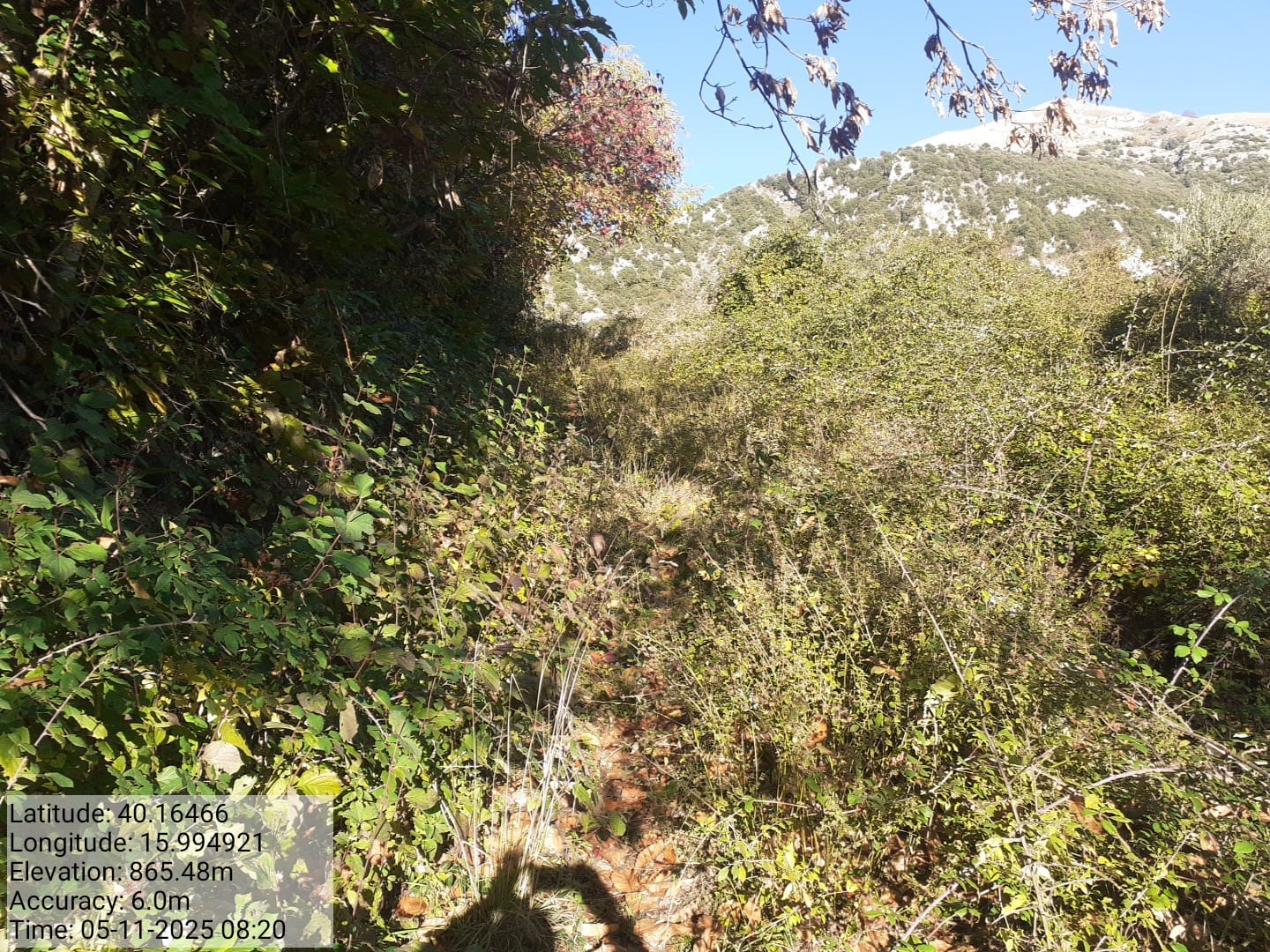 Galleria Fotografica Immagine