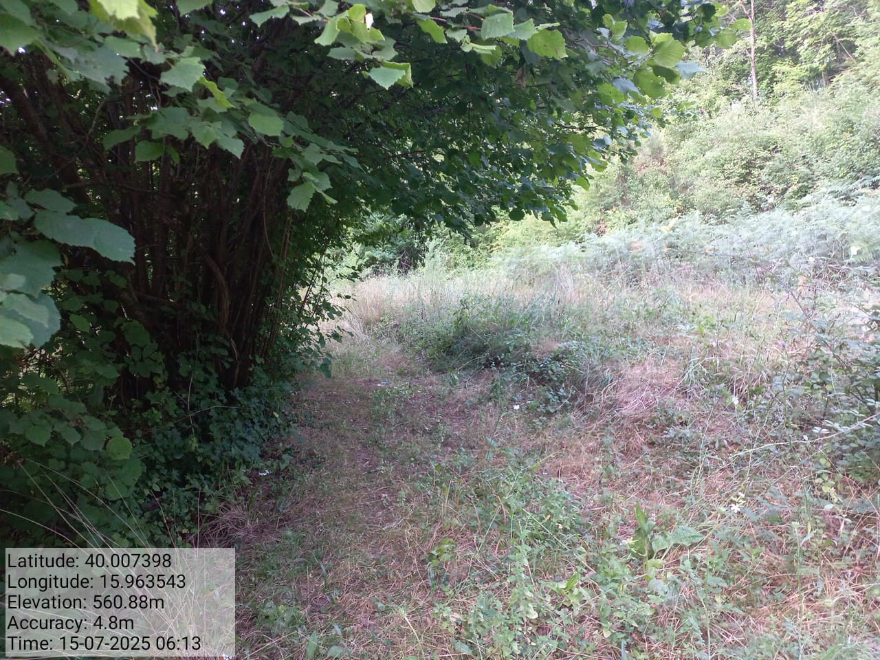 Galleria Fotografica Immagine