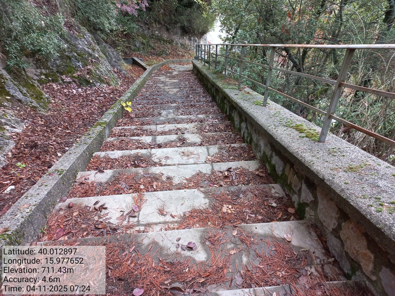 Galleria Fotografica Immagine