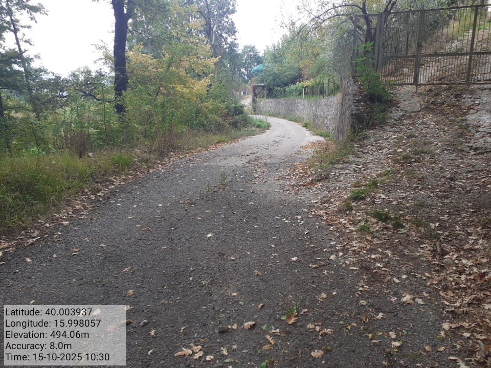 Galleria Fotografica Immagine