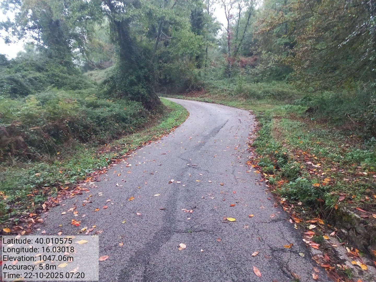 Galleria Fotografica Immagine