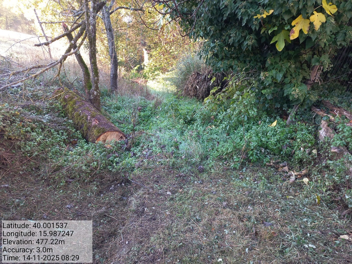 Galleria Fotografica Immagine