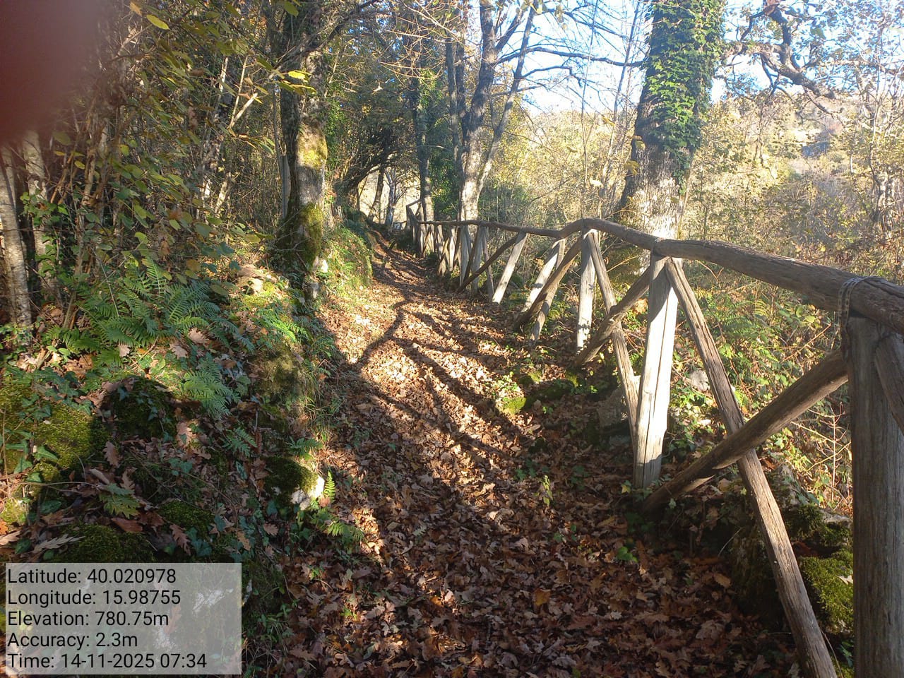 Galleria Fotografica Immagine