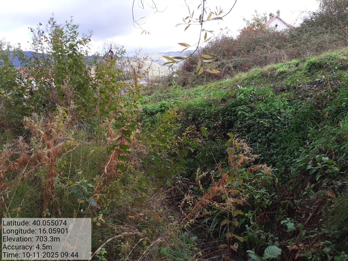 Galleria Fotografica Immagine