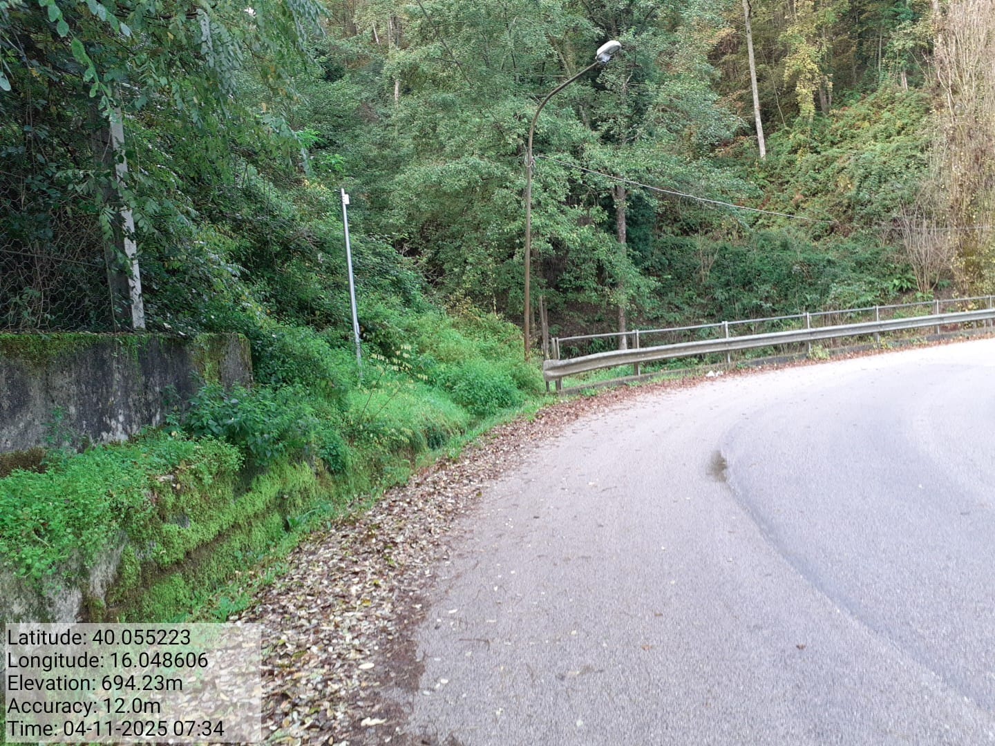 Galleria Fotografica Immagine