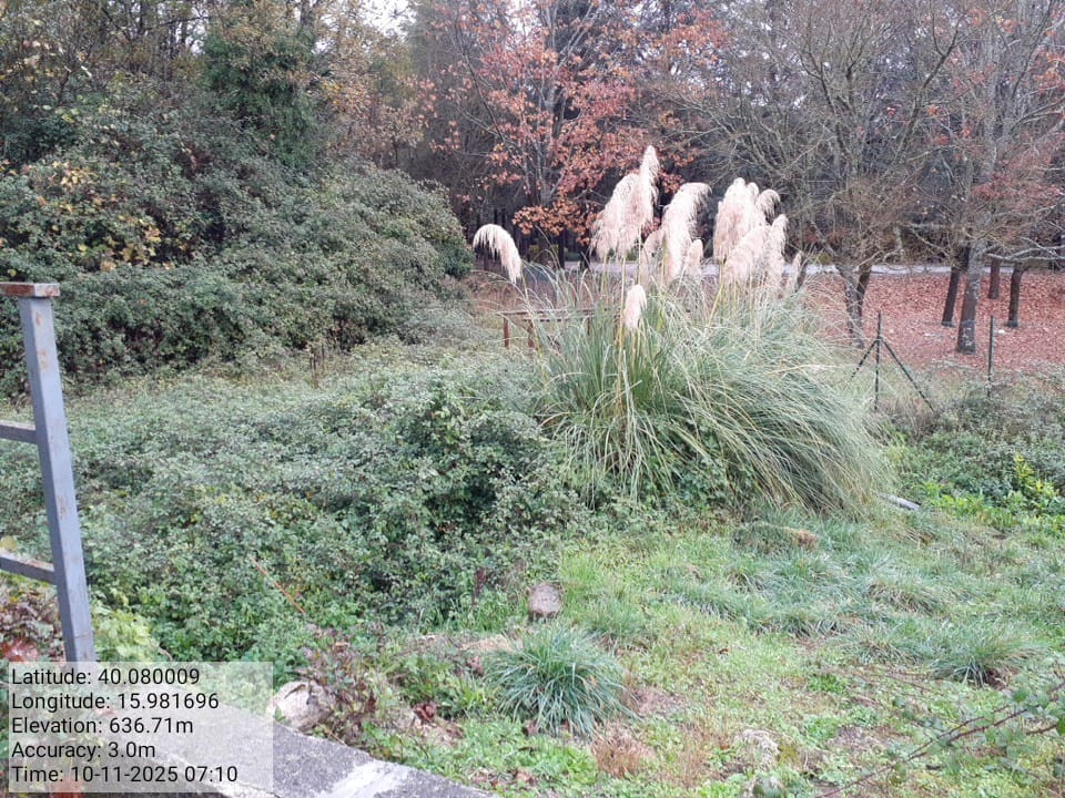 Galleria Fotografica Immagine