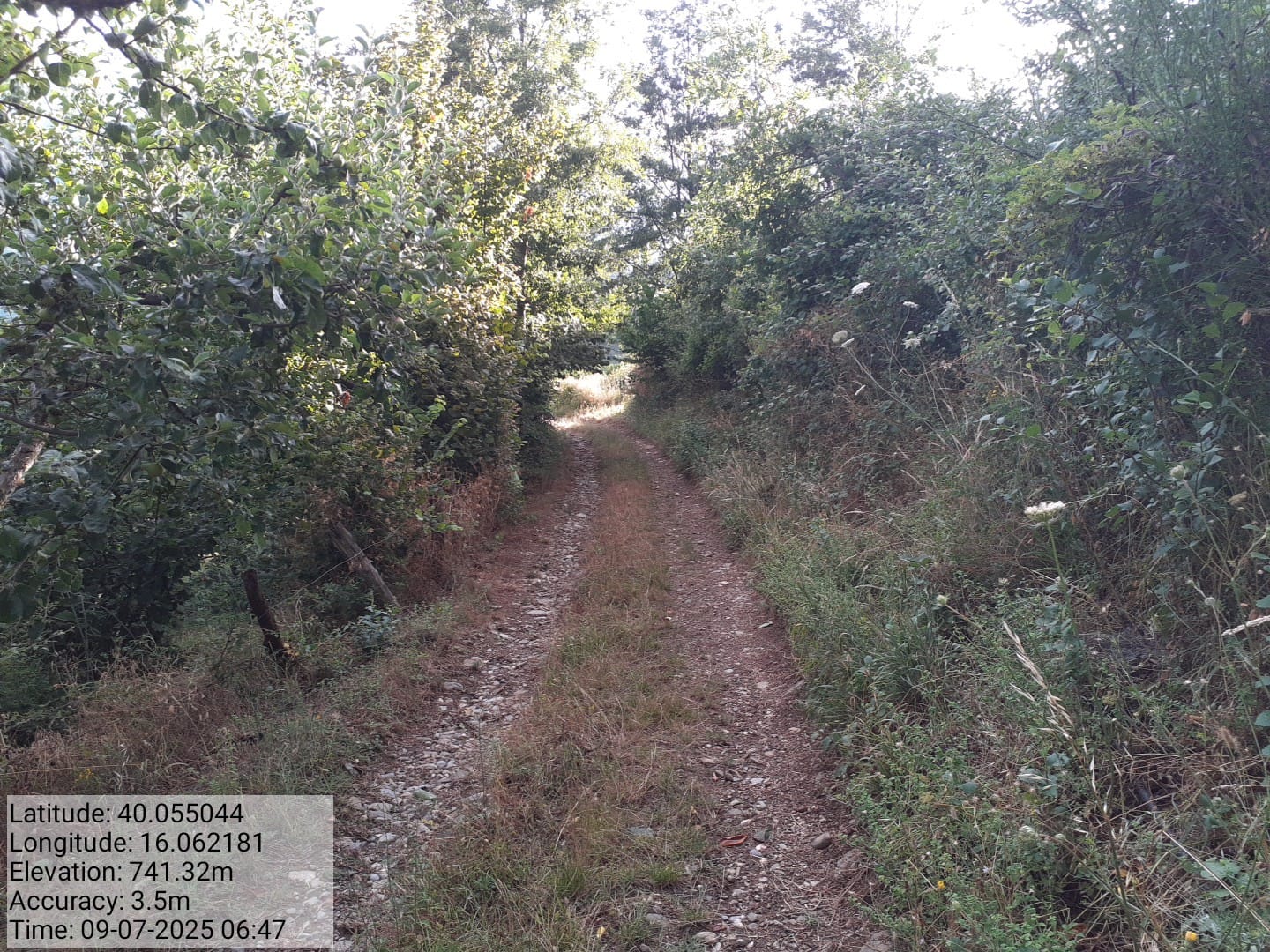 Galleria Fotografica Immagine