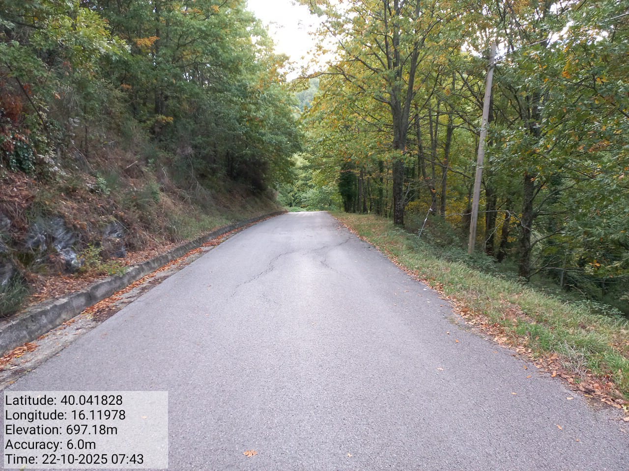 Galleria Fotografica Immagine