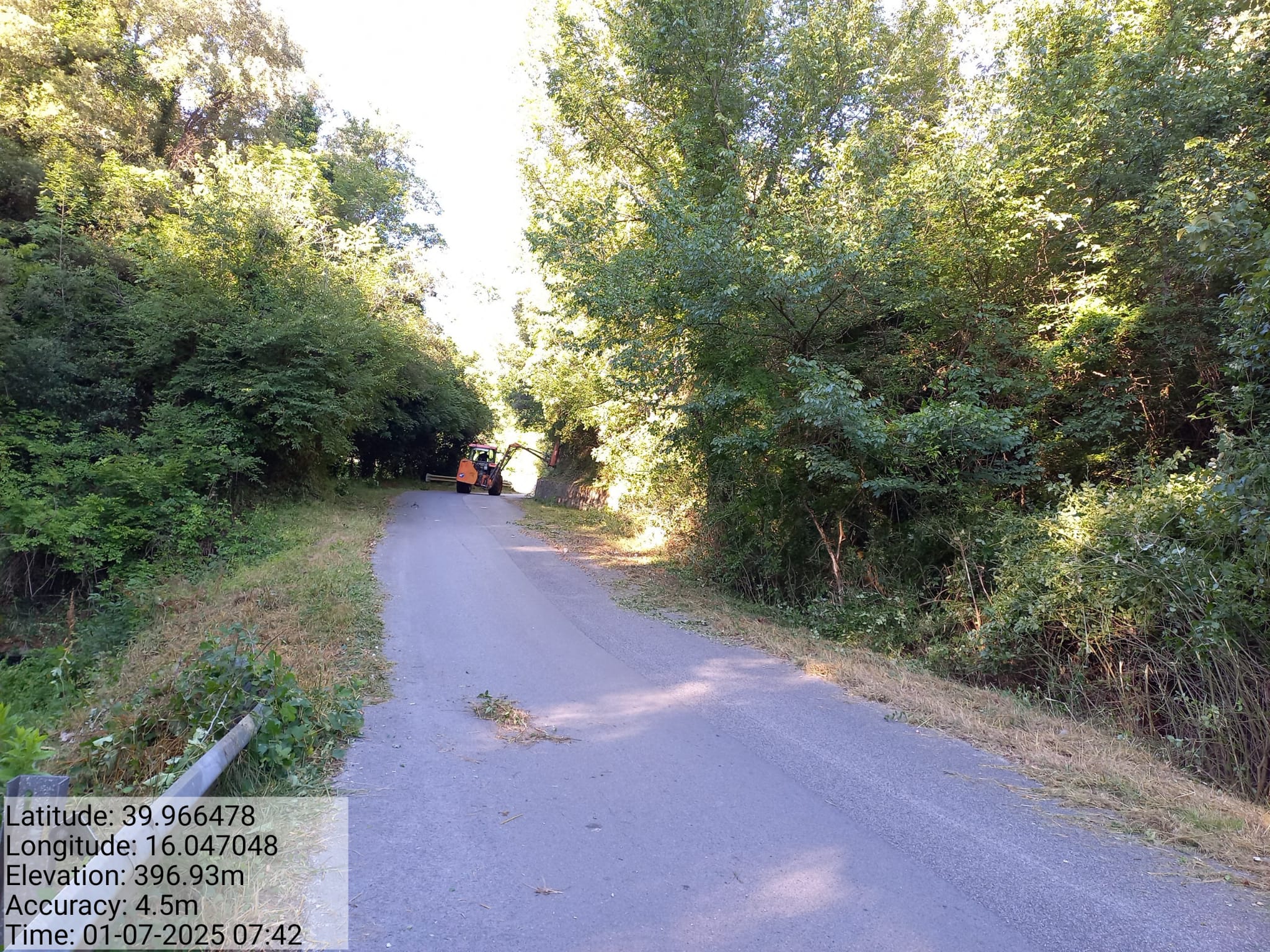 Galleria Fotografica Immagine