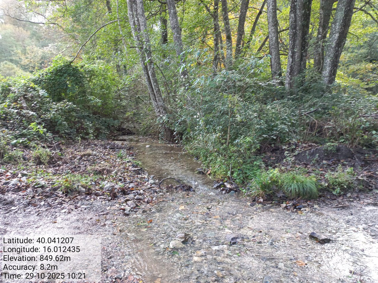 Galleria Fotografica Immagine