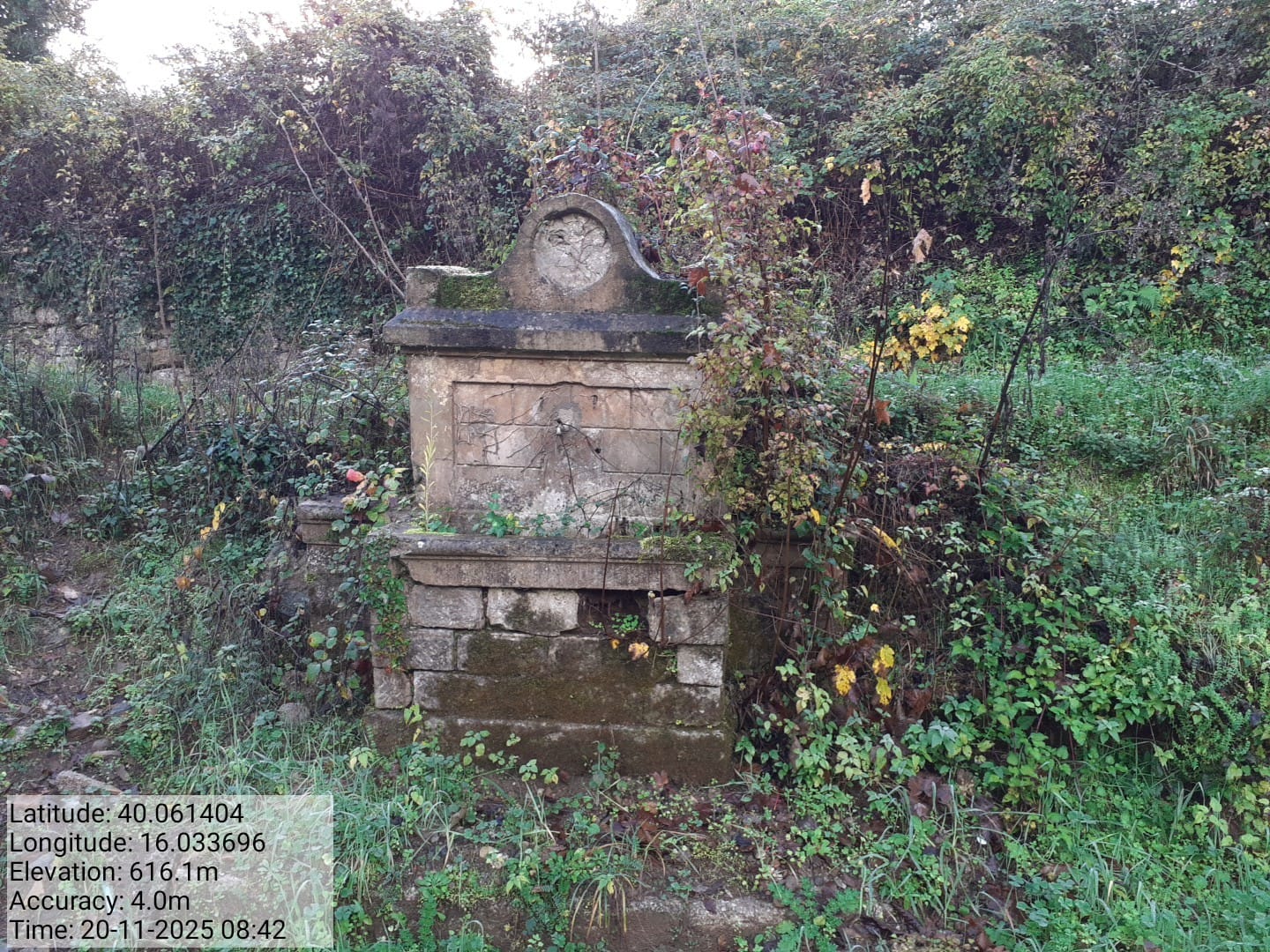 Galleria Fotografica Immagine