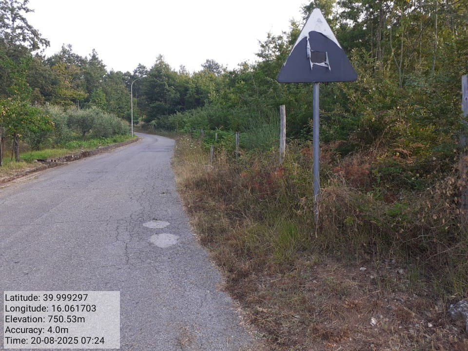 Galleria Fotografica Immagine