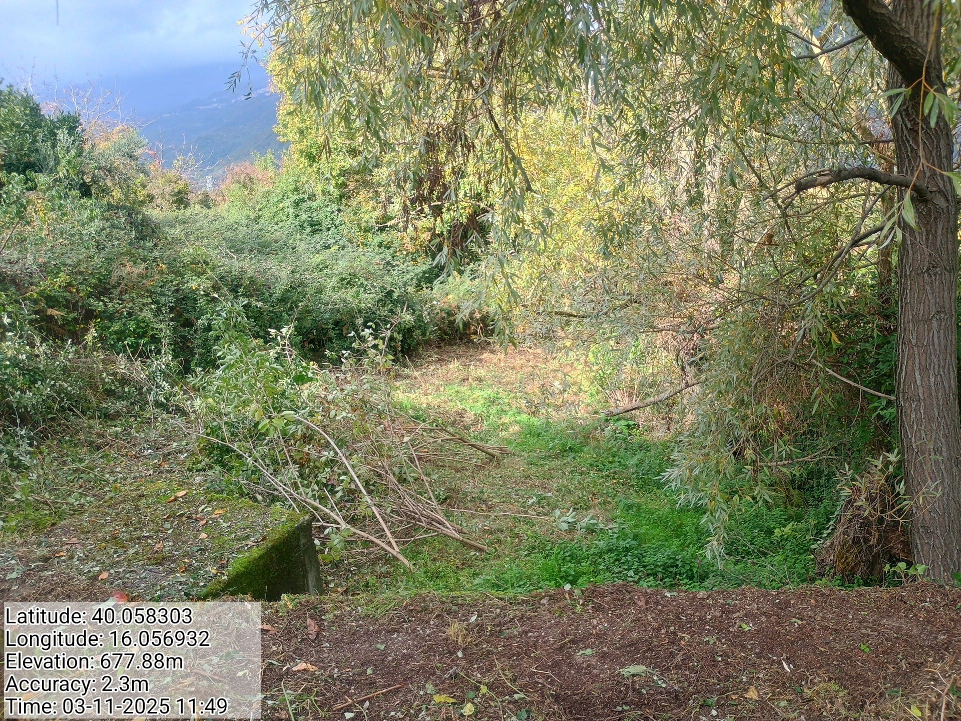 Galleria Fotografica Immagine