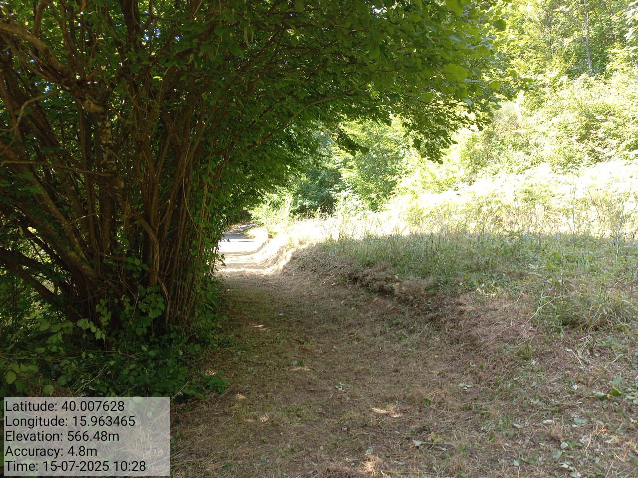 Galleria Fotografica Immagine