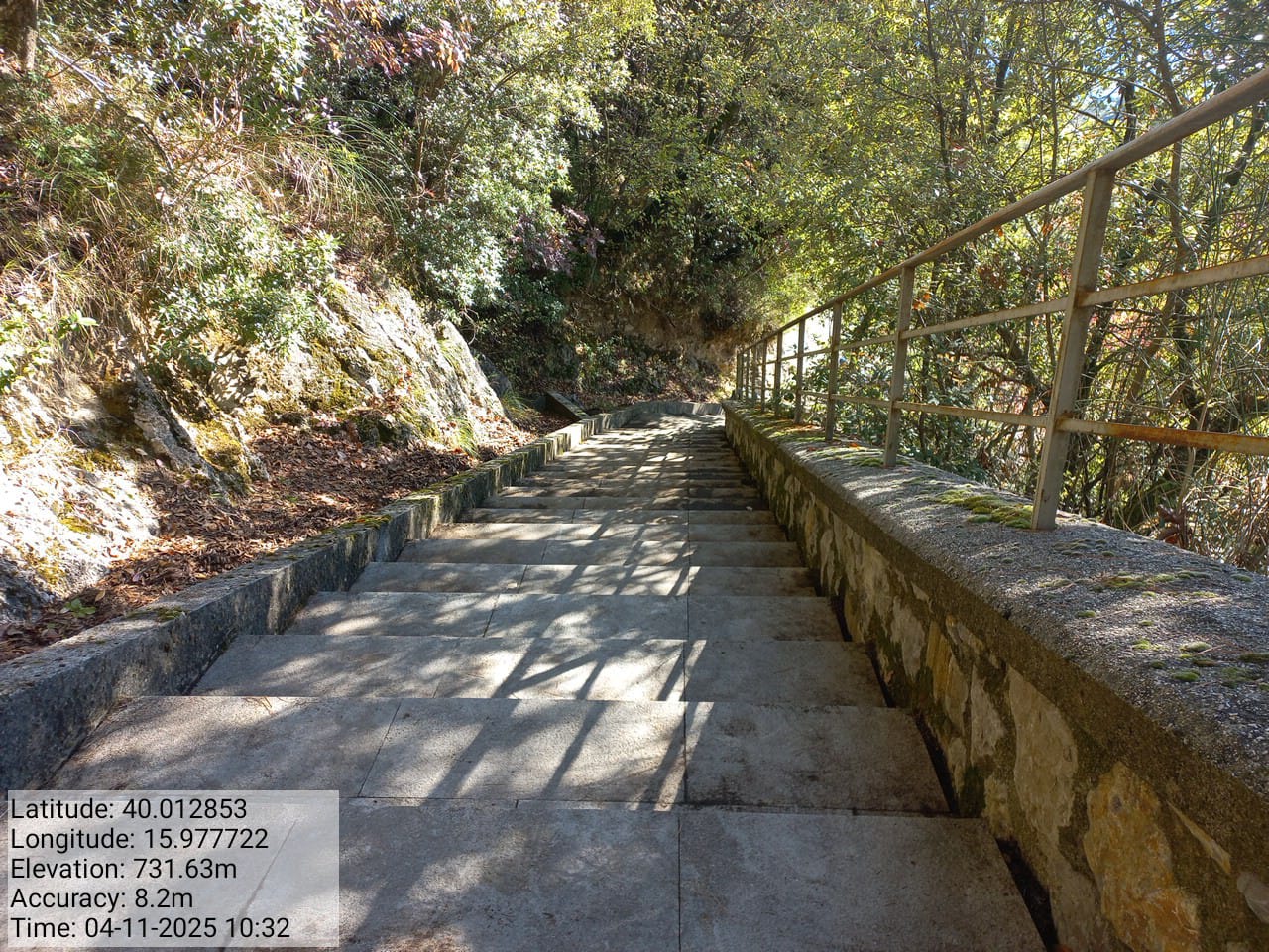 Galleria Fotografica Immagine