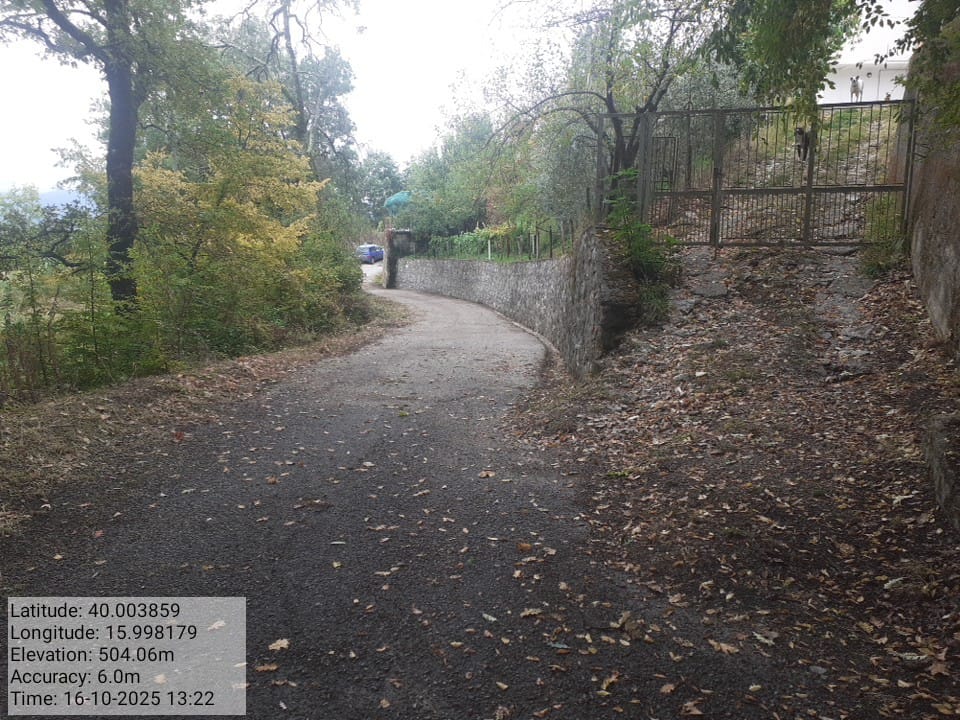 Galleria Fotografica Immagine