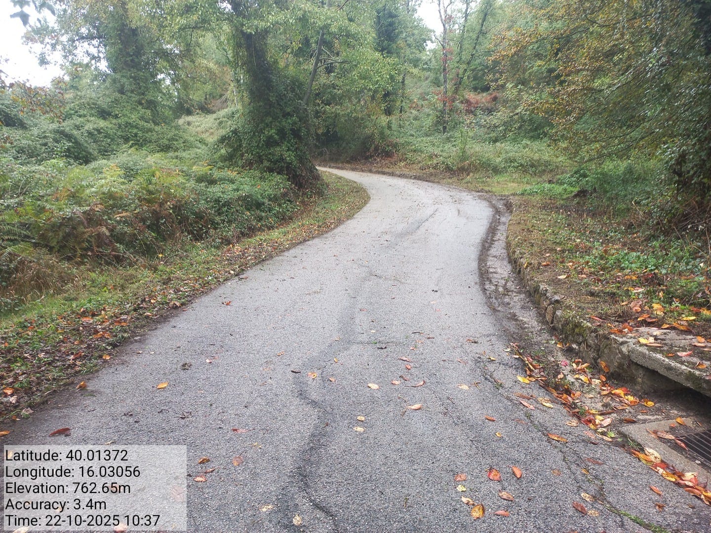 Galleria Fotografica Immagine