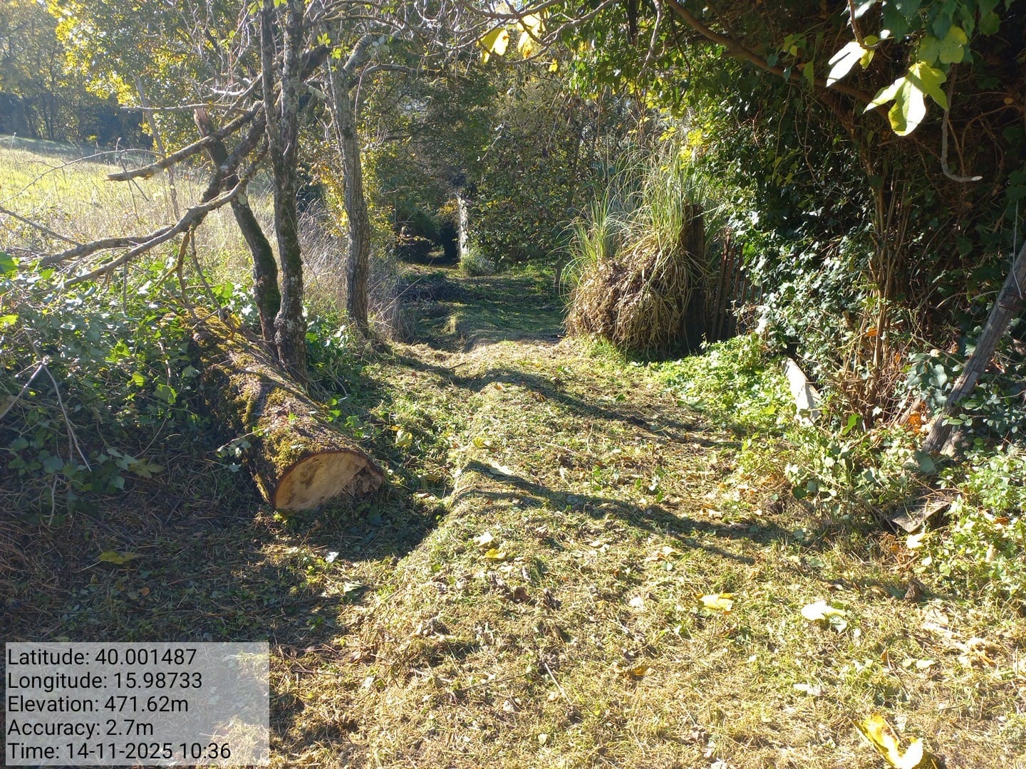 Galleria Fotografica Immagine