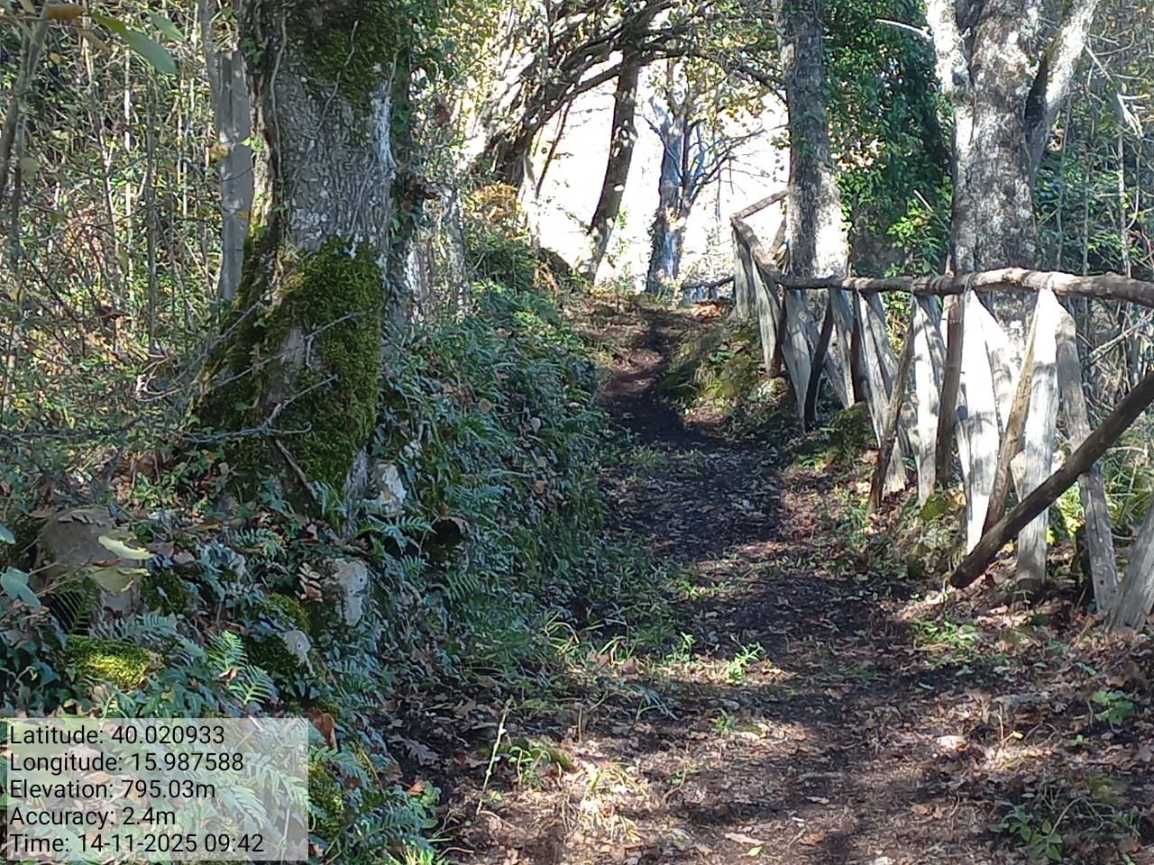 Galleria Fotografica Immagine