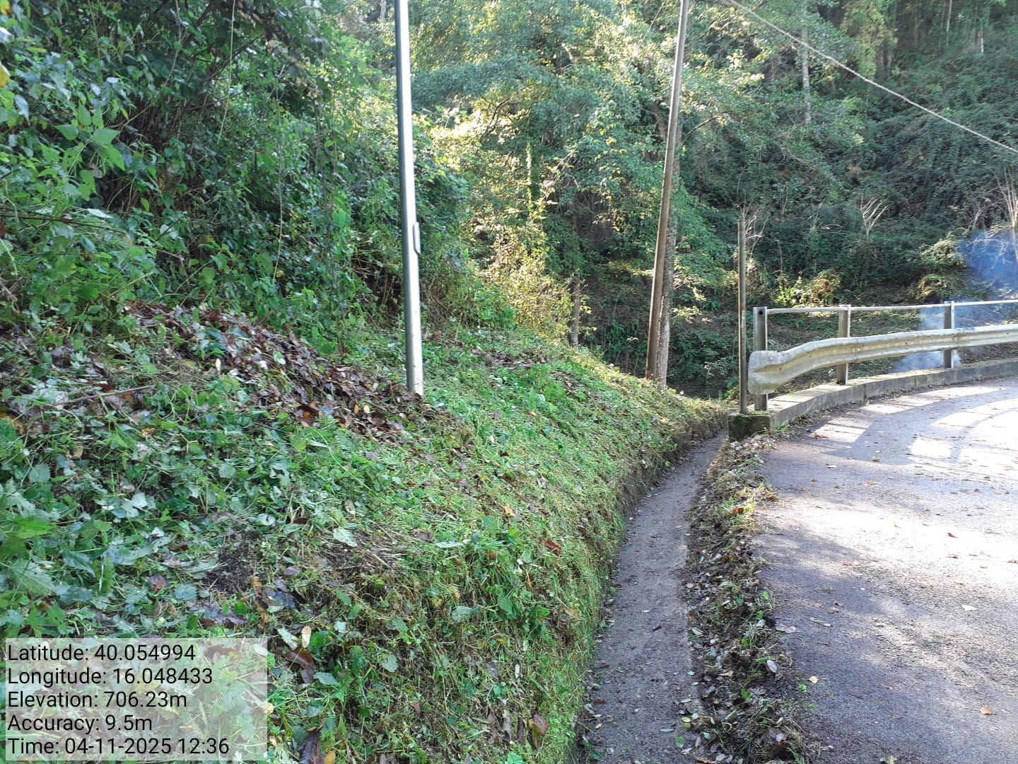 Galleria Fotografica Immagine