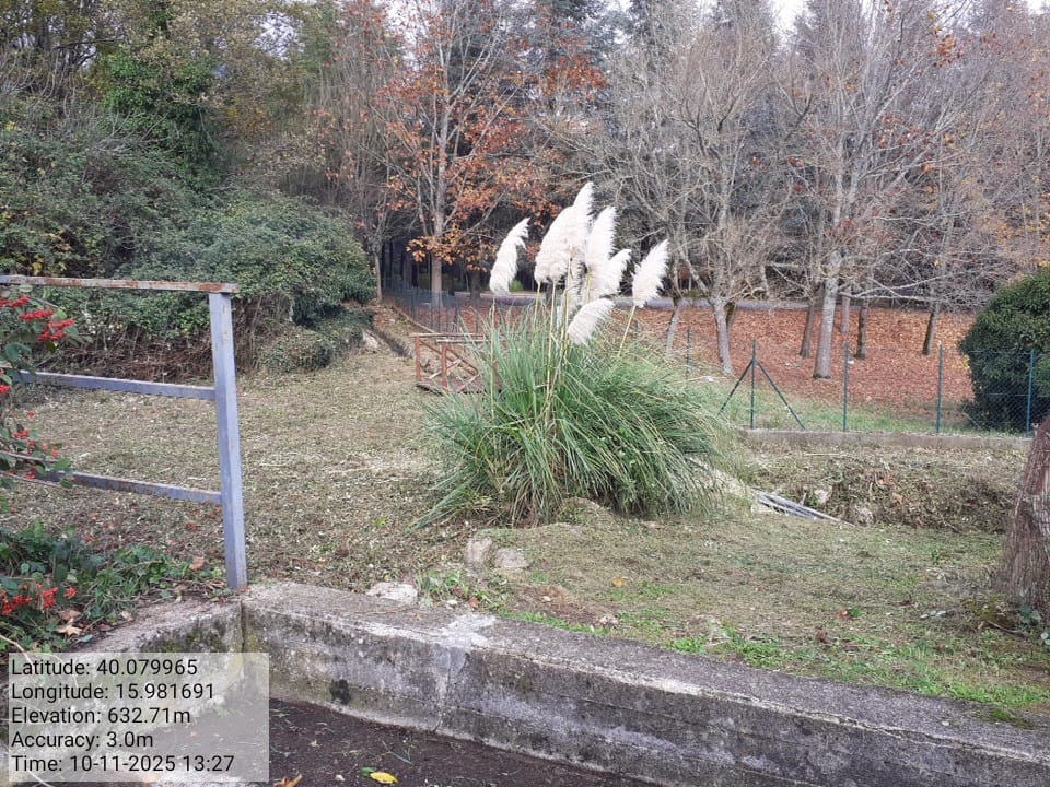 Galleria Fotografica Immagine